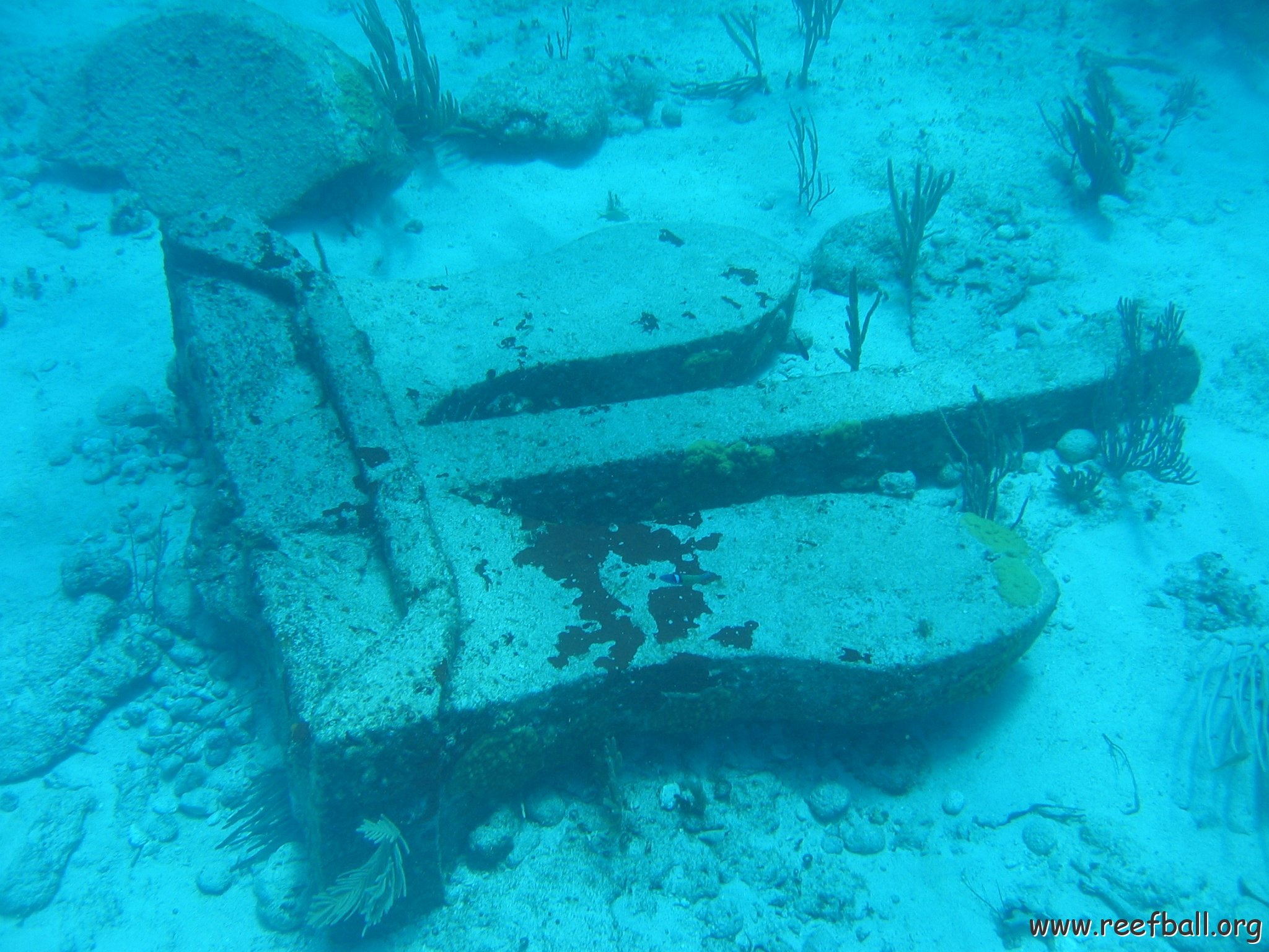 2005Aug5 Cancun 158