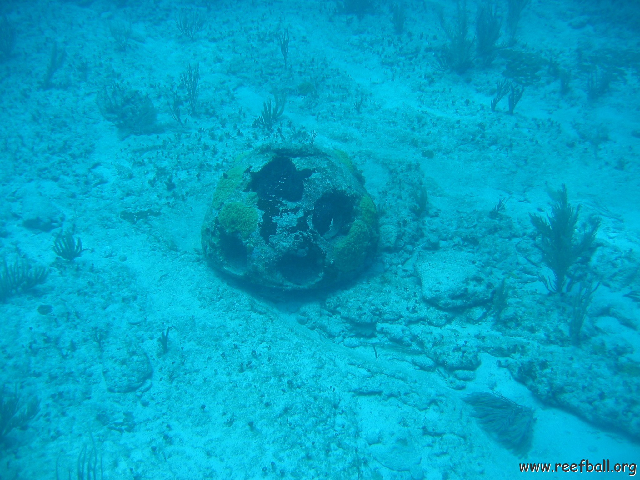 2005Aug5 Cancun 160
