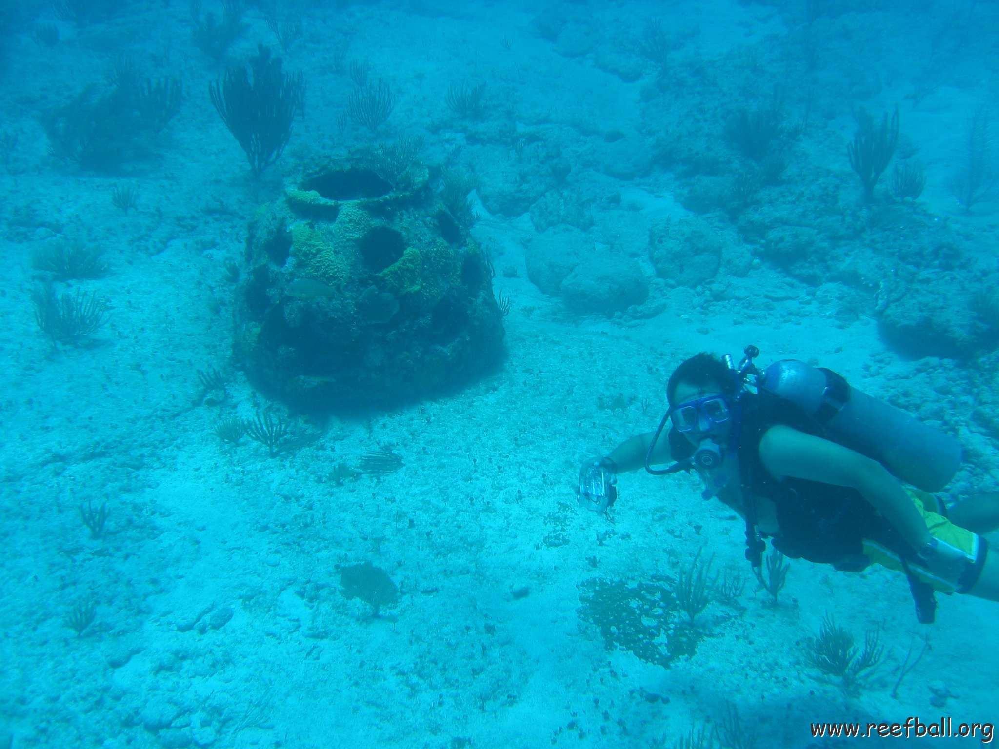 2005Aug5 Cancun 164