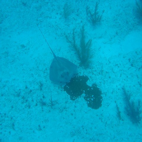 2005Aug5 Cancun 031 2005Aug5 Cancun 031