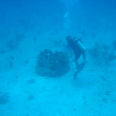 2005Aug5 Cancun 036 2005Aug5 Cancun 036