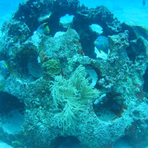 2005Aug5 Cancun 047 2005Aug5 Cancun 047