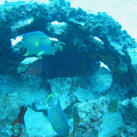 2005Aug5 Cancun 048 2005Aug5 Cancun 048