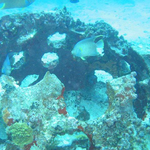 2005Aug5 Cancun 049 2005Aug5 Cancun 049