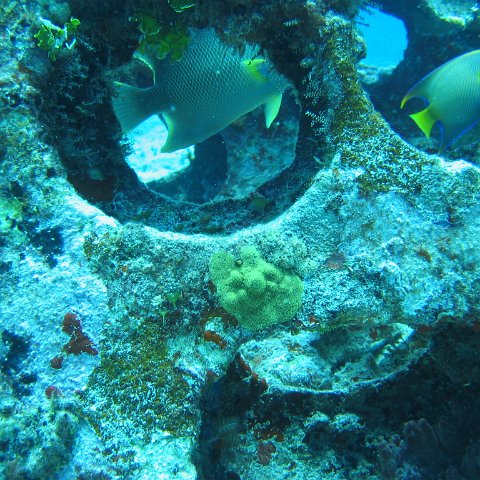 2005Aug5 Cancun 050 2005Aug5 Cancun 050