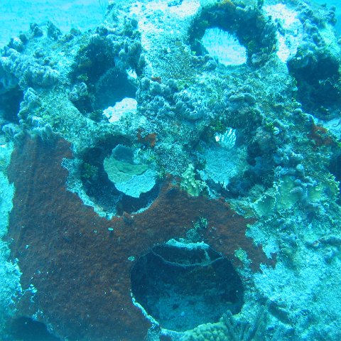 2005Aug5 Cancun 052 2005Aug5 Cancun 052