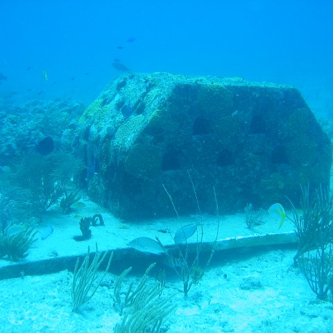 2005Aug5 Cancun 054