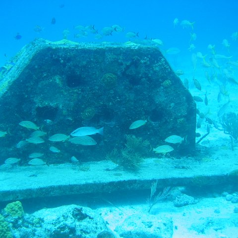 2005Aug5 Cancun 057 2005Aug5 Cancun 057