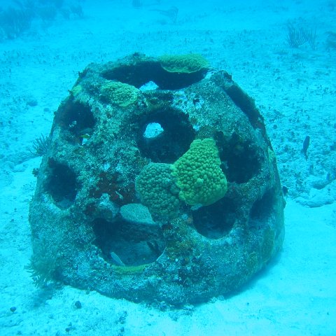 2005Aug5 Cancun 058 2005Aug5 Cancun 058
