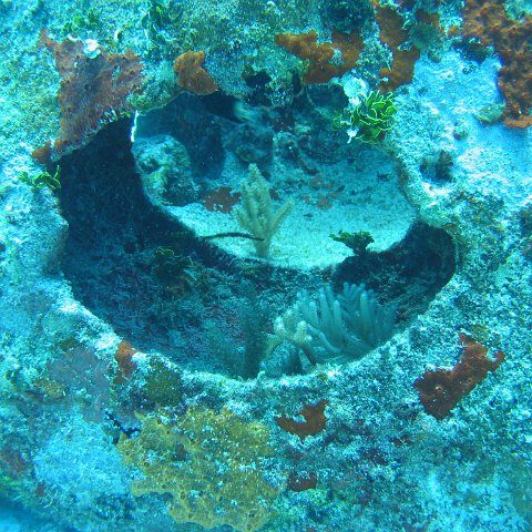 2005Aug5 Cancun 060 2005Aug5 Cancun 060