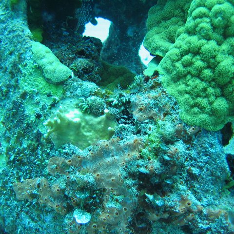 2005Aug5 Cancun 062 2005Aug5 Cancun 062