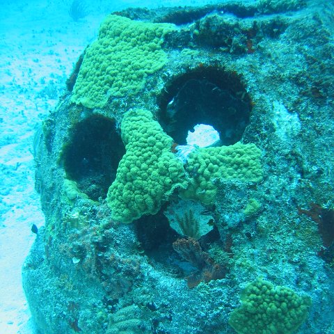 2005Aug5 Cancun 063 2005Aug5 Cancun 063