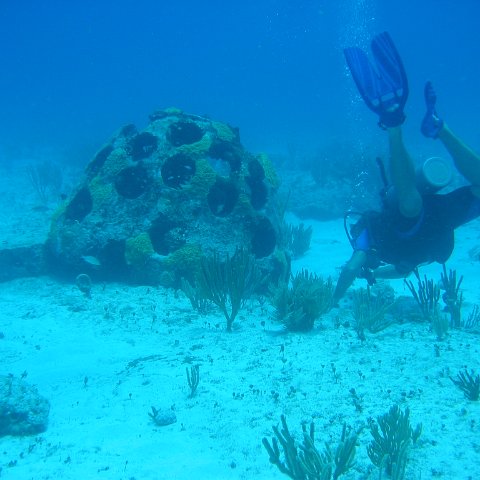 2005Aug5 Cancun 064 2005Aug5 Cancun 064