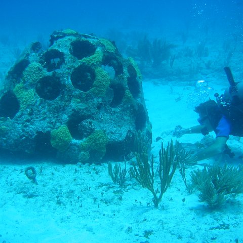 2005Aug5 Cancun 065 2005Aug5 Cancun 065