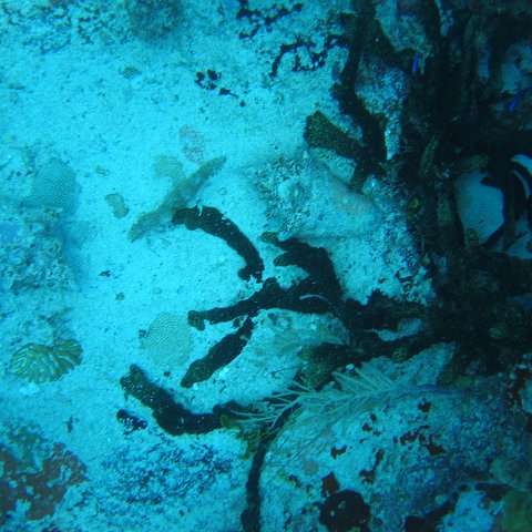 2005Aug5 Cancun 069 2005Aug5 Cancun 069
