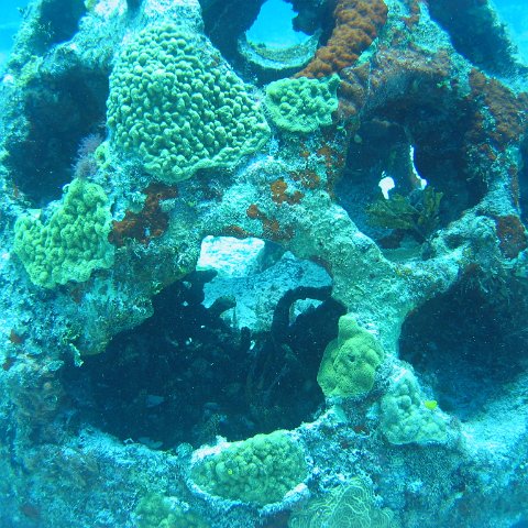 2005Aug5 Cancun 070 2005Aug5 Cancun 070
