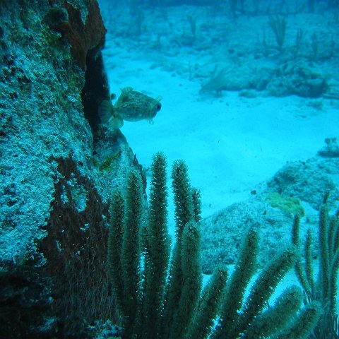 2005Aug5 Cancun 072 2005Aug5 Cancun 072