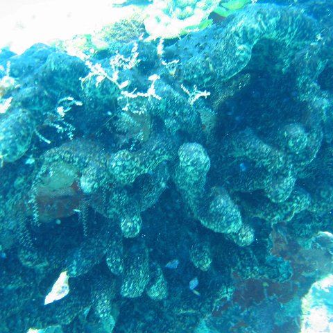 2005Aug5 Cancun 074 2005Aug5 Cancun 074