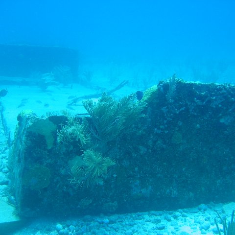 2005Aug5 Cancun 075