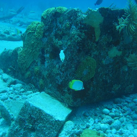 2005Aug5 Cancun 076 2005Aug5 Cancun 076