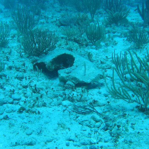 2005Aug5 Cancun 077 2005Aug5 Cancun 077
