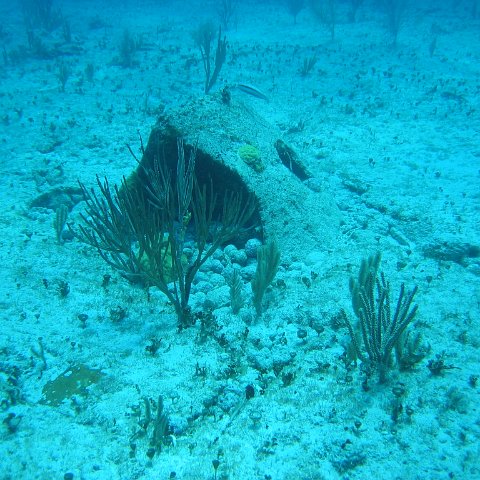 2005Aug5 Cancun 078 2005Aug5 Cancun 078