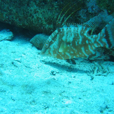 2005Aug5 Cancun 083 2005Aug5 Cancun 083