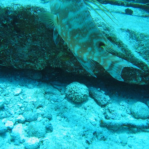 2005Aug5 Cancun 084 2005Aug5 Cancun 084