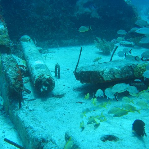 2005Aug5 Cancun 085