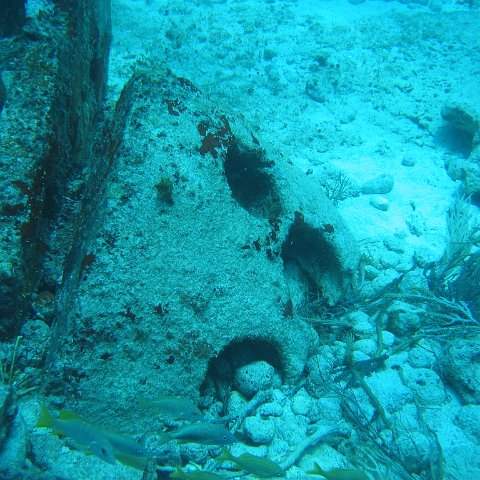 2005Aug5 Cancun 092 2005Aug5 Cancun 092