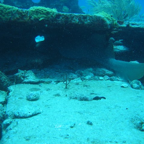 2005Aug5 Cancun 093 2005Aug5 Cancun 093