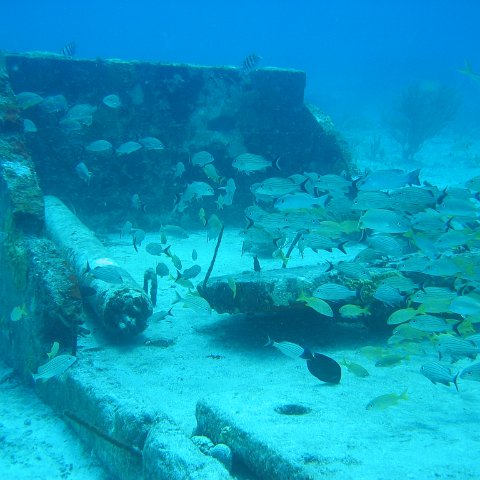 2005Aug5 Cancun 095