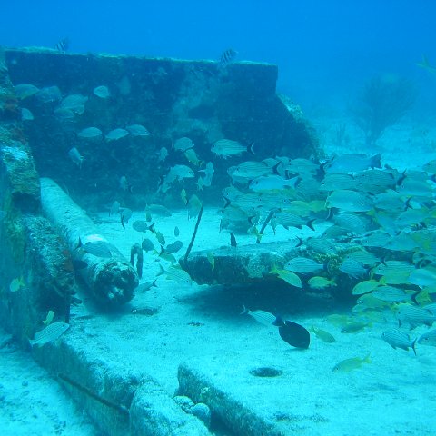 2005Aug5 Cancun 095 2005Aug5 Cancun 095