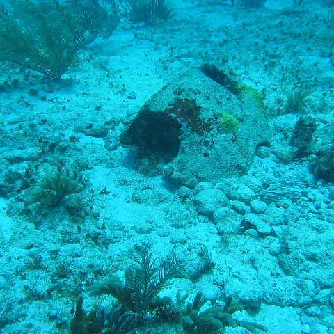 2005Aug5 Cancun 097 2005Aug5 Cancun 097