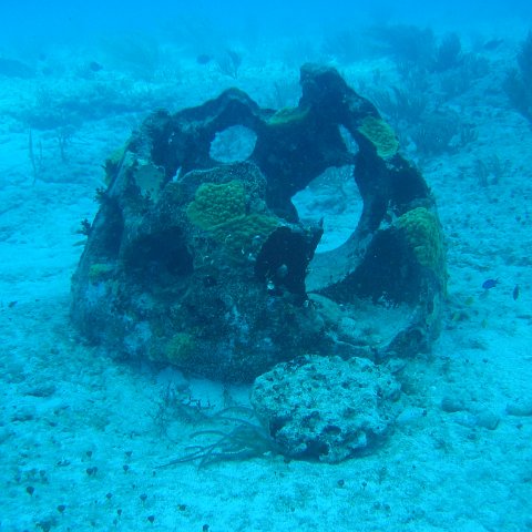 2005Aug5 Cancun 098 2005Aug5 Cancun 098