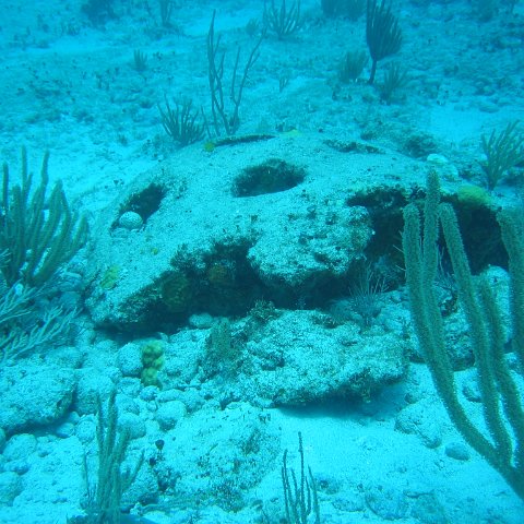 2005Aug5 Cancun 099 2005Aug5 Cancun 099