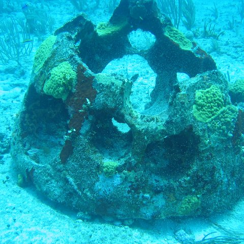 2005Aug5 Cancun 100 2005Aug5 Cancun 100