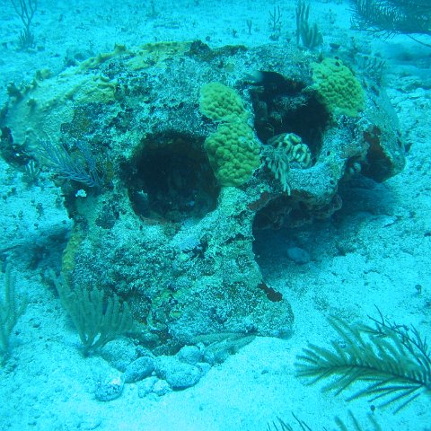2005Aug5 Cancun 102 2005Aug5 Cancun 102