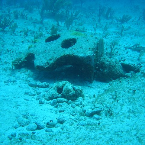 2005Aug5 Cancun 103 2005Aug5 Cancun 103