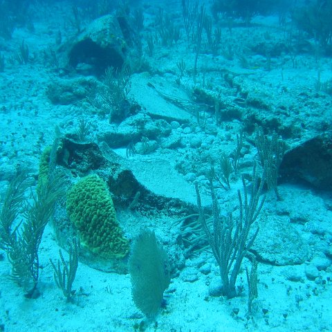 2005Aug5 Cancun 104 2005Aug5 Cancun 104