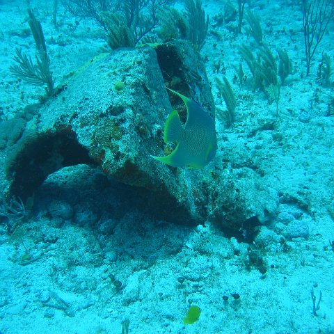 2005Aug5 Cancun 106 2005Aug5 Cancun 106