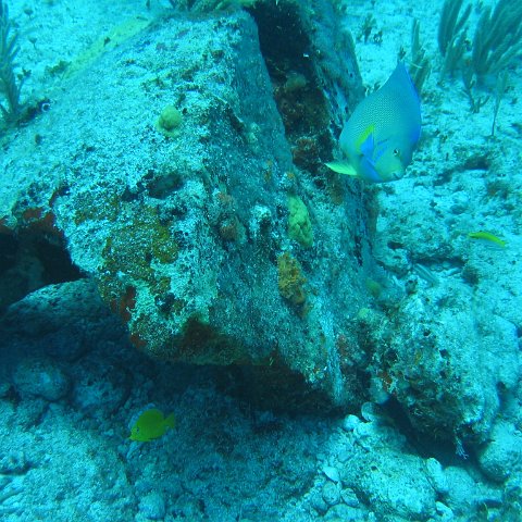 2005Aug5 Cancun 107 2005Aug5 Cancun 107