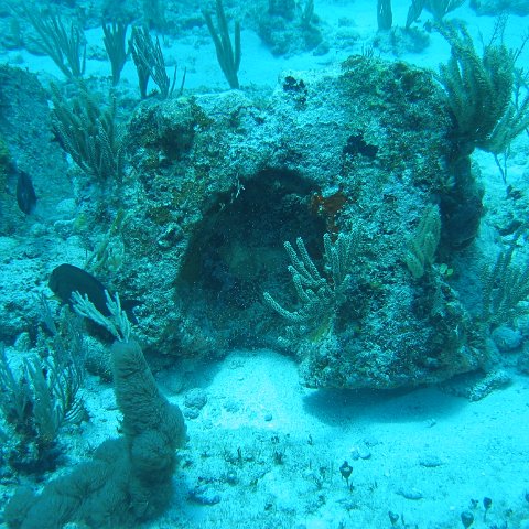 2005Aug5 Cancun 109 2005Aug5 Cancun 109