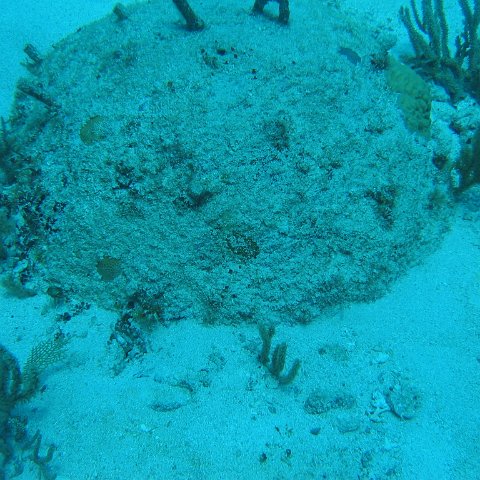 2005Aug5 Cancun 110 2005Aug5 Cancun 110