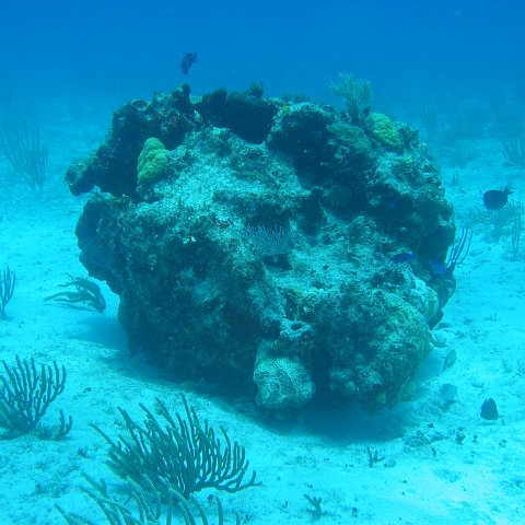 2005Aug5 Cancun 111 2005Aug5 Cancun 111