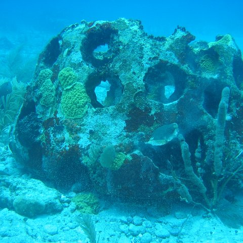 2005Aug5 Cancun 112 2005Aug5 Cancun 112