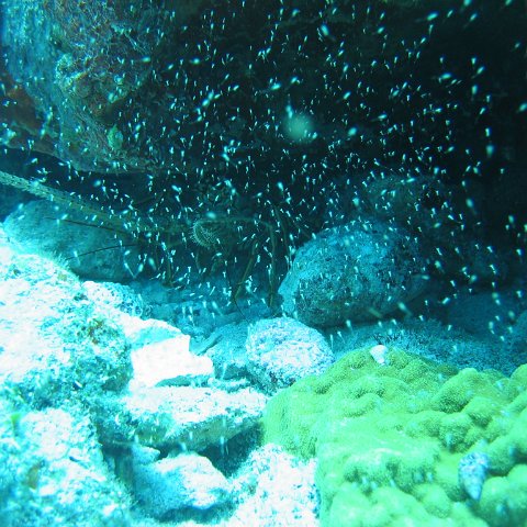 2005Aug5 Cancun 114 2005Aug5 Cancun 114