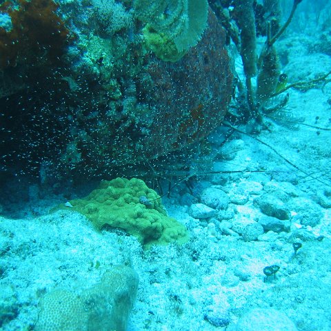 2005Aug5 Cancun 116 2005Aug5 Cancun 116