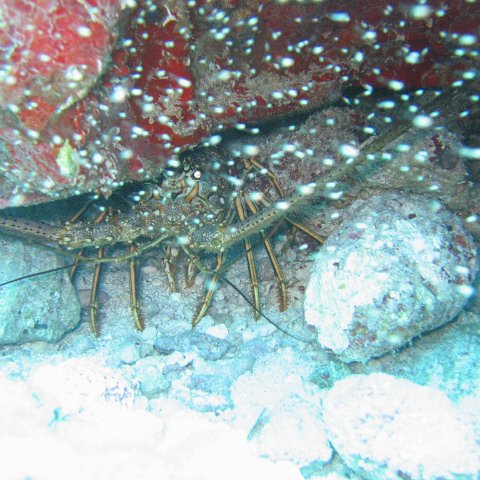 2005Aug5 Cancun 119 2005Aug5 Cancun 119