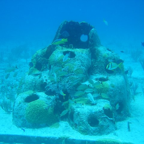 2005Aug5 Cancun 122 2005Aug5 Cancun 122